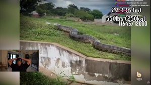 thumbnail of Agent00