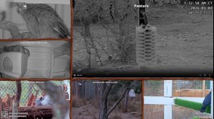 thumbnail of AlveusSanctuary