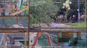 thumbnail of AlveusSanctuary
