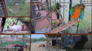 thumbnail of AlveusSanctuary