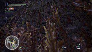 thumbnail of バトラ (batora324)