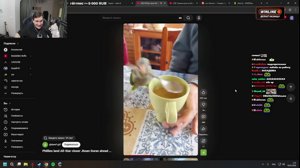 thumbnail of bratishkinoff