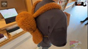 thumbnail of bratishkinoff