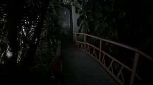 thumbnail of dangerlyoha