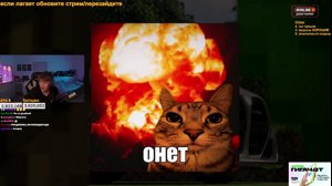 thumbnail of deepins02