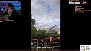 thumbnail of deepins02