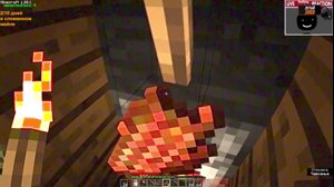 thumbnail of deepins02