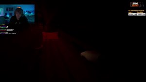 thumbnail of deepins02