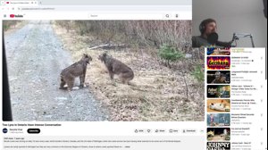 thumbnail of forsen