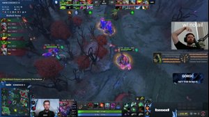 thumbnail of Gorgc