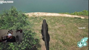 thumbnail of HutchMF