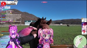 thumbnail of ironmouse