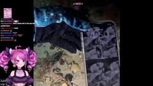 thumbnail of ironmouse