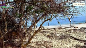 thumbnail of jasontheween