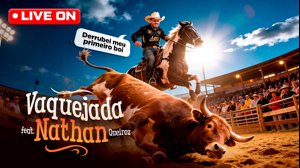 thumbnail of JonVlogs