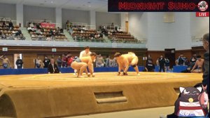 thumbnail of MidnightSumo