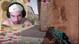 thumbnail of Peereira7