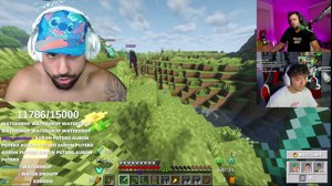 thumbnail of Peereira7