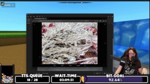 thumbnail of PirateSoftware