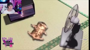 thumbnail of Rubius