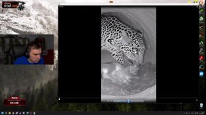 thumbnail of SASAVOT