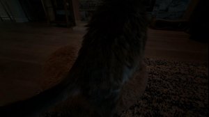 thumbnail of sodapoppin