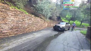 thumbnail of stableronaldo