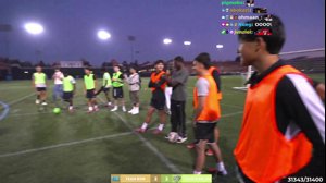 thumbnail of stableronaldo