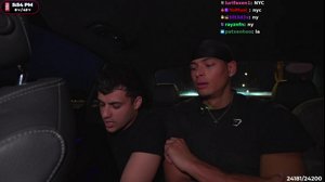 thumbnail of stableronaldo