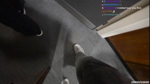 thumbnail of stableronaldo