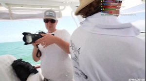 thumbnail of stableronaldo