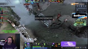 thumbnail of Stray228