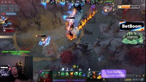 thumbnail of Stray228