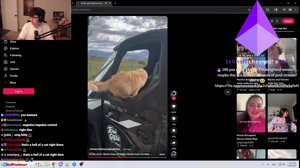 thumbnail of supertf