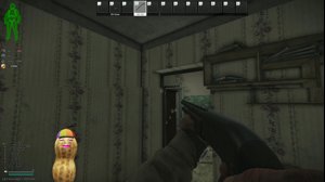 thumbnail of TheBurntPeanut