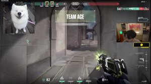 thumbnail of ボドカさん (vodkavdk)