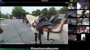 thumbnail of YourFavoriteDeveloper
