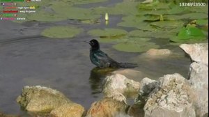 thumbnail of yourragegaming