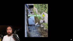 thumbnail of zackrawrr